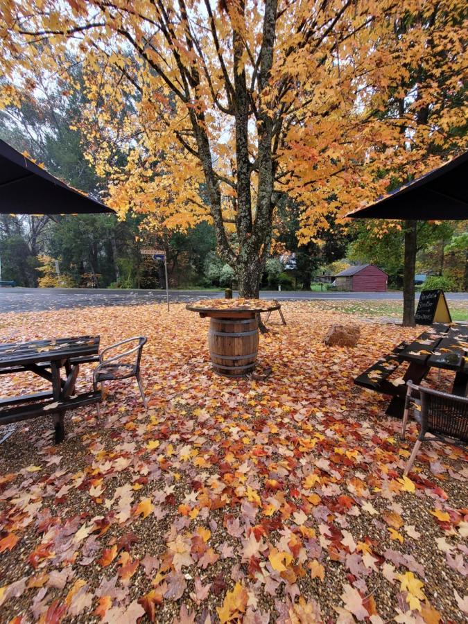Harrietville Hotel Motel Екстер'єр фото